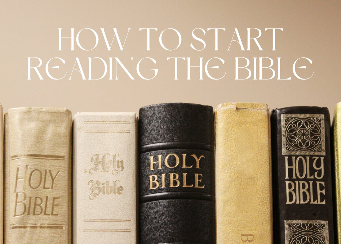 BEGINNERS GUIDE TO READING THE BIBLE
